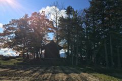 5b230c004a856fa01ee50ec5ab39d6e8