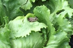 5cde511ca60e577ae10b2efc59a49a0e