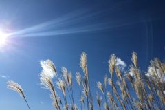 e3bfc799e533a3f7bfbe064721ae3f8d